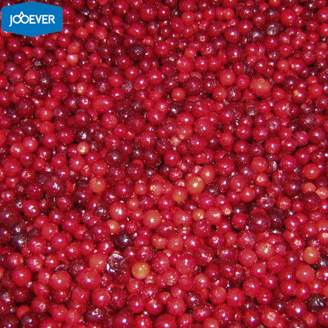 frozen fruits