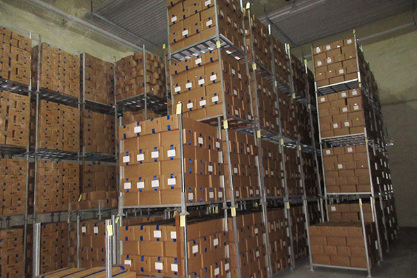 Cold Storage