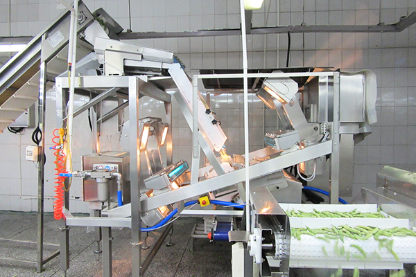 Color Sorting Machine
