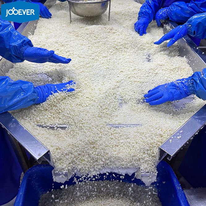 iqf frozen cauliflower rice4